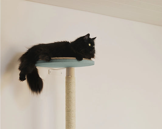 Kissan kiipeilyhylly on tukeva ja kestävä