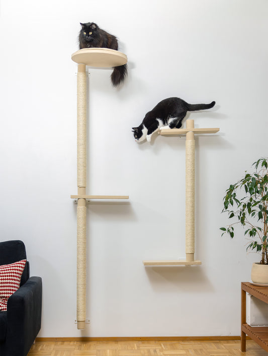 ISO PUU | kokonaisuudet