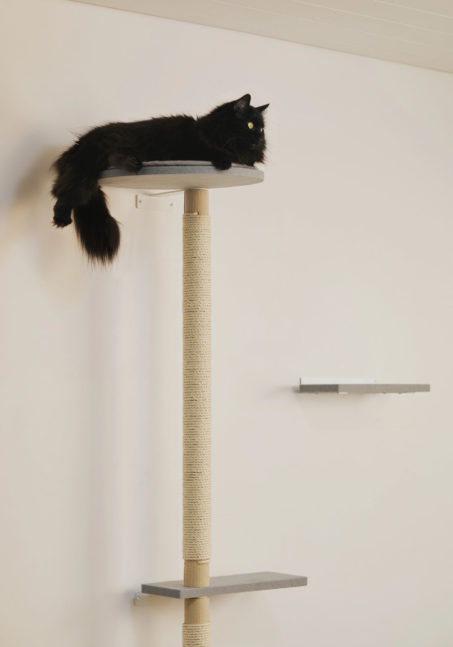 Ison kissan kiipeilypuu mahdollistaa venyttelyn pitkän tolpan ansiosta.