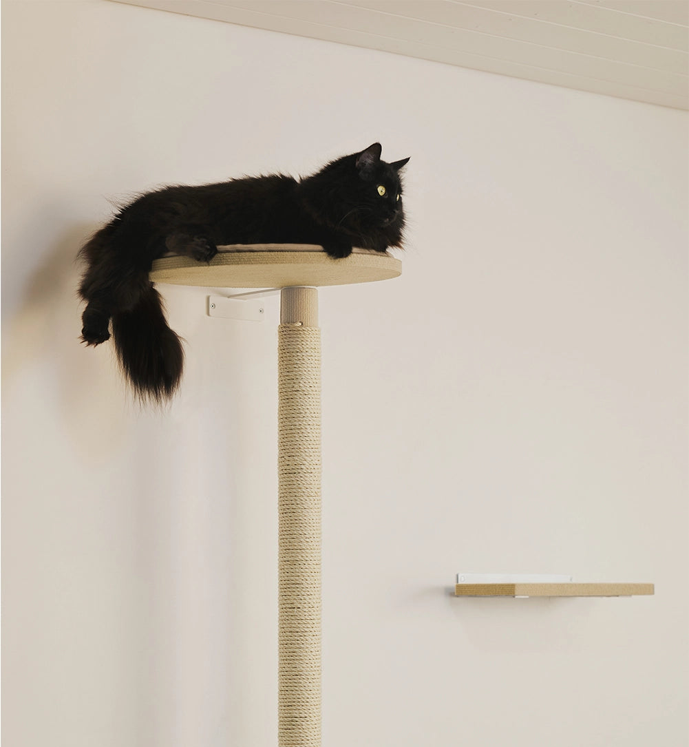 Kissan parhaat raapimispuut verkkokaupasta