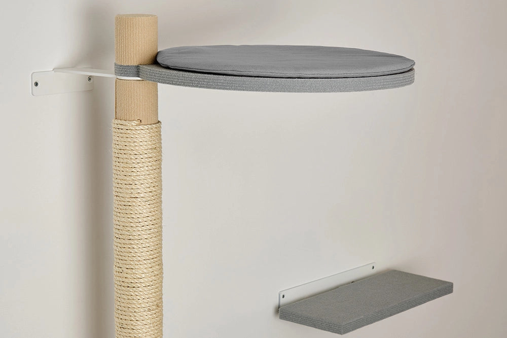 Tyyny ja lepotaso-korkeassa-raapimispuussa