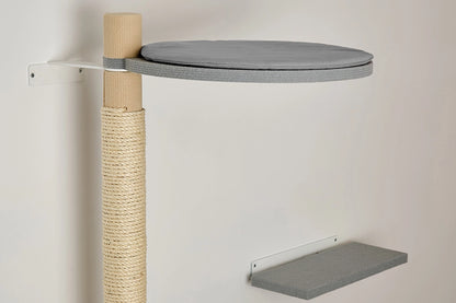 Tyyny ja lepotaso-korkeassa-raapimispuussa