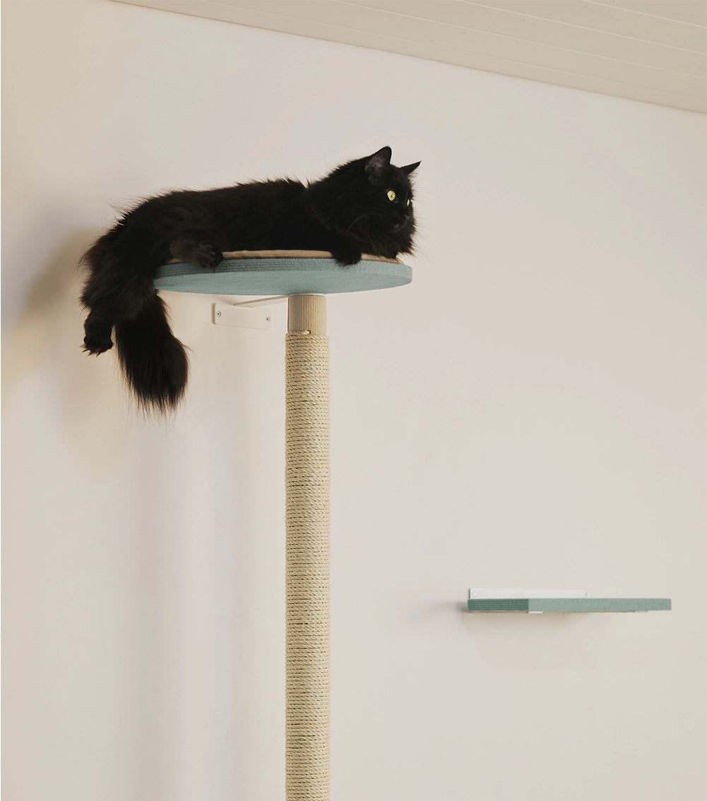 Kissan kiipeilypuulla kissa pääsee kiipeilemään tukevilla tasoilla.