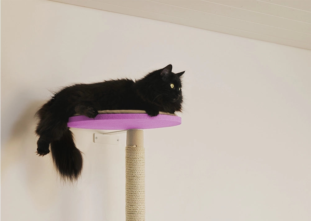 Verkkokaupasta kaikki parhaat raapimispuut, jotka kestävät käyttöä ja ovat erittäin laadukkaat.