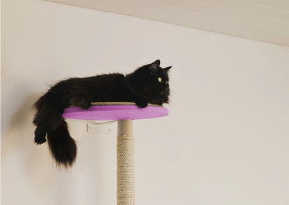 Verkkokaupasta kaikki parhaat raapimispuut, jotka kestävät käyttöä ja ovat erittäin laadukkaat.