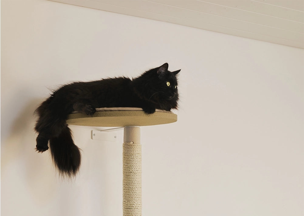 Kissan raapimispuun lepotasolla kissa pääsee korkealle.