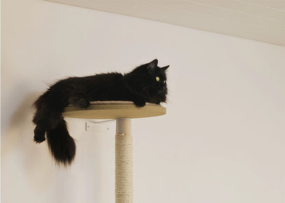 Kissan raapimispuun lepotasolla kissa pääsee korkealle.