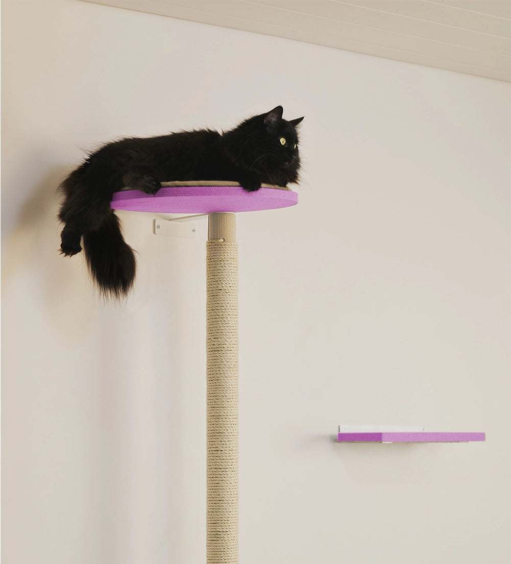 Pinkki kissan raapimispuu netistä