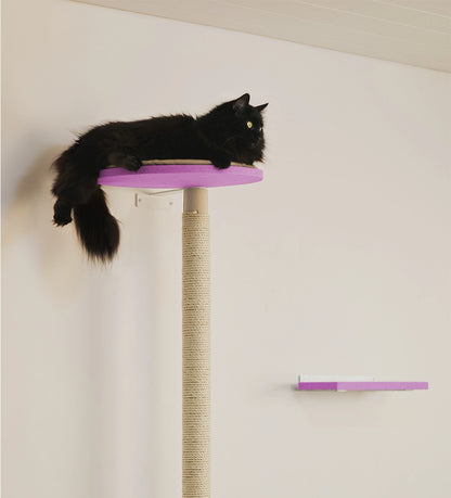 Pinkki kissan raapimispuu netistä
