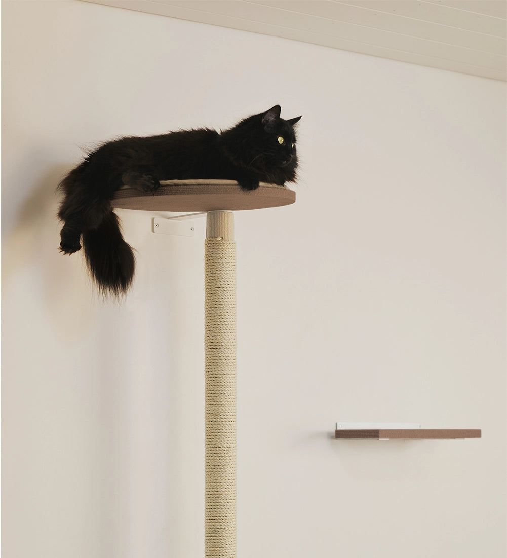 Tukevat ja laadukkaat raapimispuut verkosta