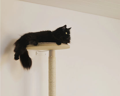 Kissan raapimispuu, joka sopii isommallekin kissalle. Osta netistä ja kokoa kotona.