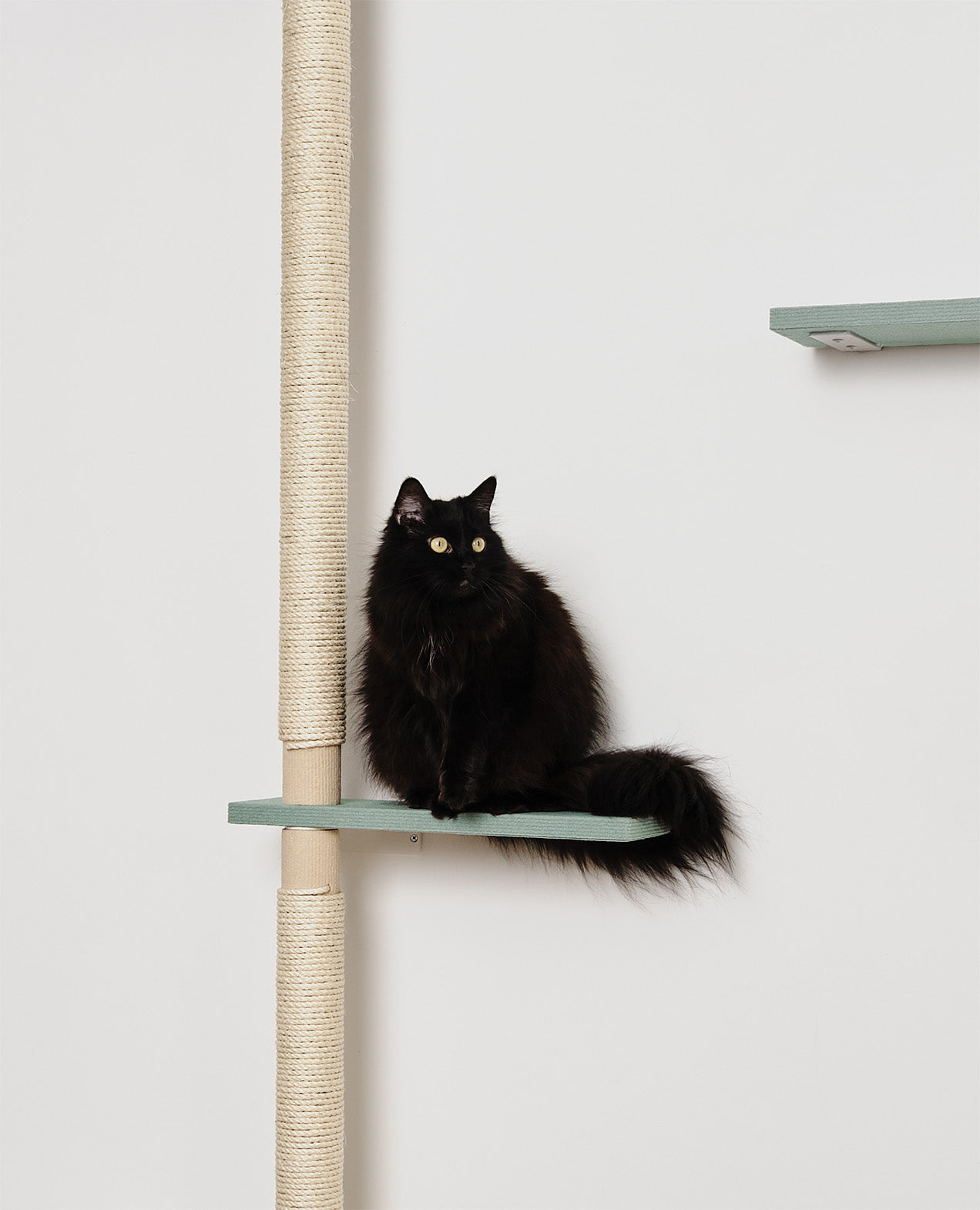 ISO PUU | askelmataso B