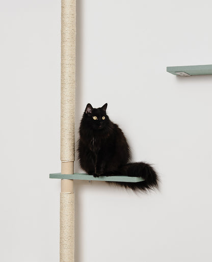 ISO PUU | askelmataso B