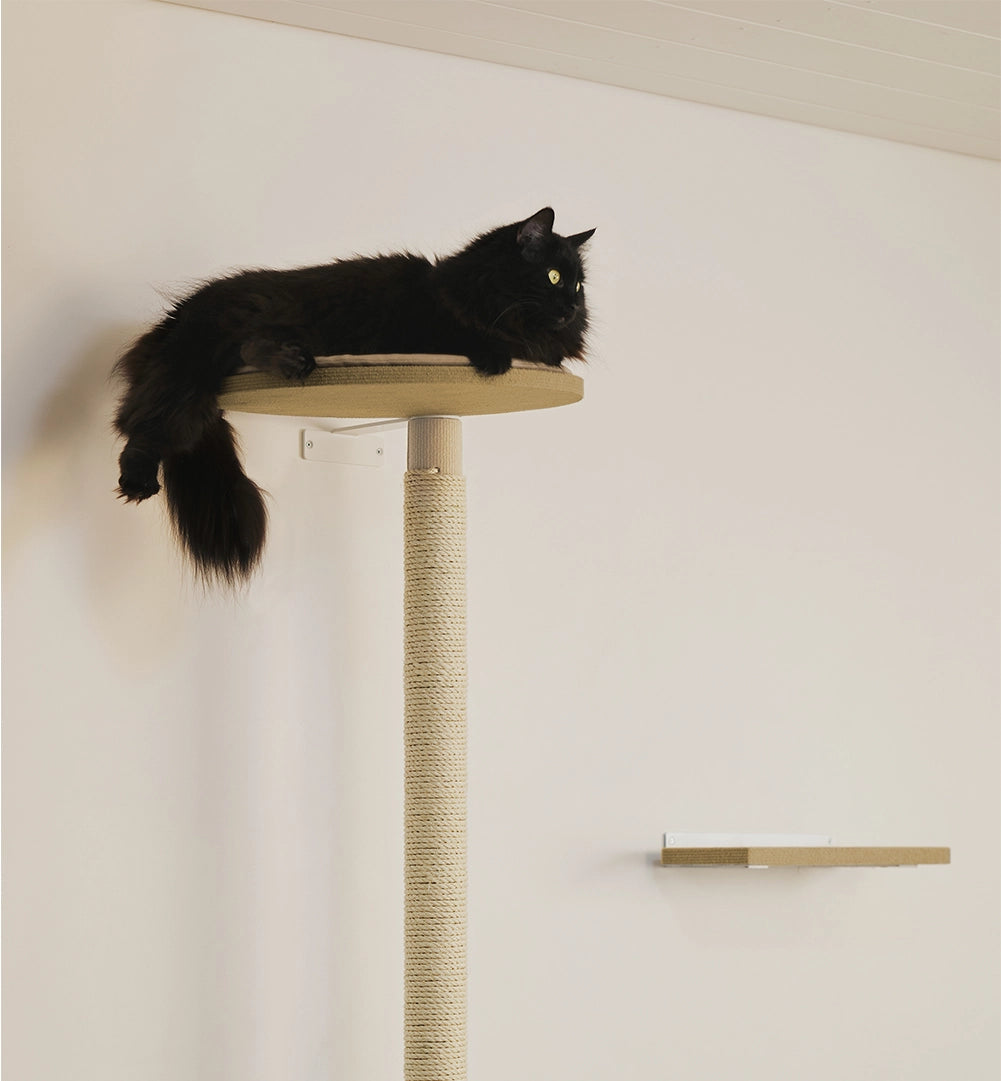 Valitse valmiista raapimis- ja kiipeilypuukokoelmista itsellesi sopiva vaihtoehto!