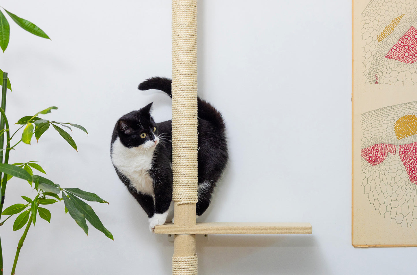 ISO PUU | askelmataso B