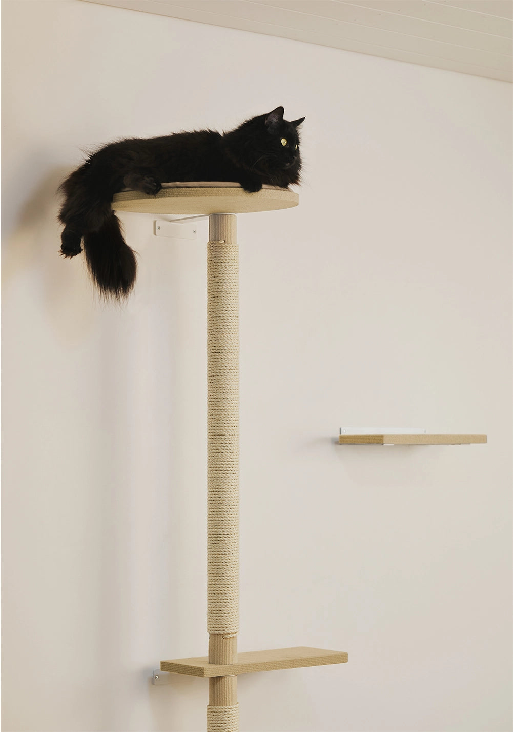 Kissan beige kiipeilypuu, ekologisista ja kestävistä materiaaleista. Raapimispuu on seinäkiinnitteinen.