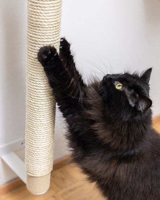 Metallinen seinäkiinnike, joka pitää raapimispuun tukevasti paikoillaan