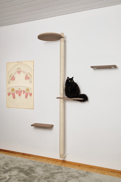 ISO PUU | kokonaisuus A