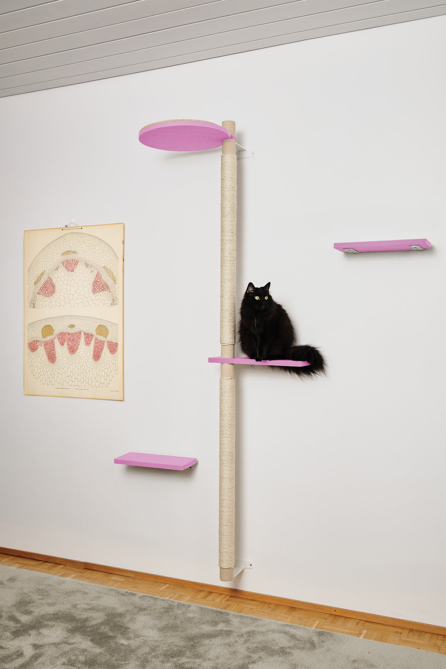 ISO PUU | kokonaisuus A