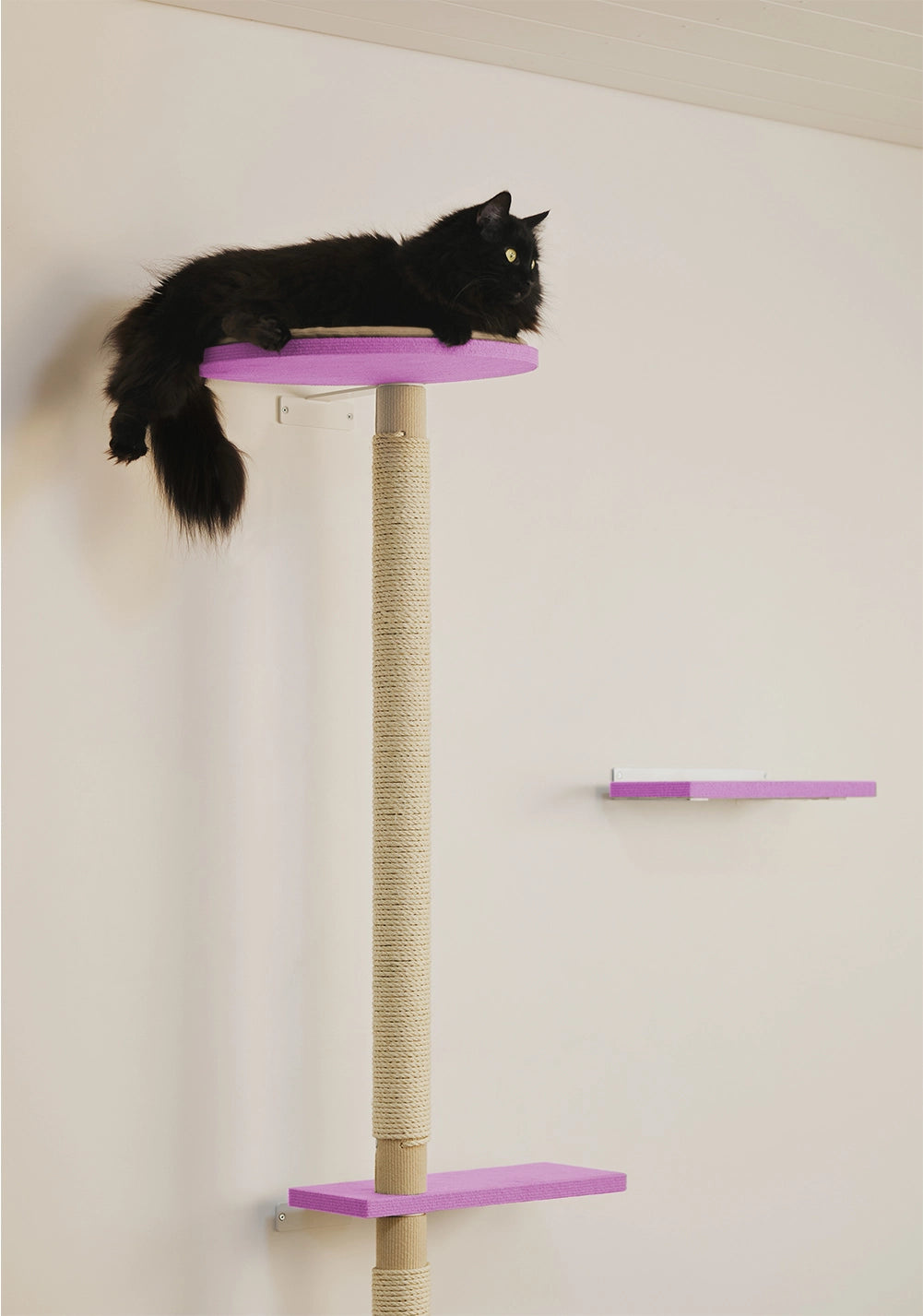 Kissan raapimispuu, joka on tukeva puurunkoinen ja Suomessa valmistettu