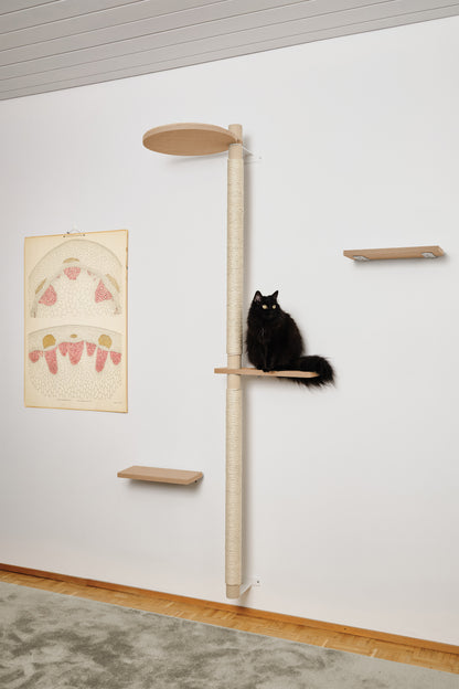 ISO PUU | kokonaisuus A