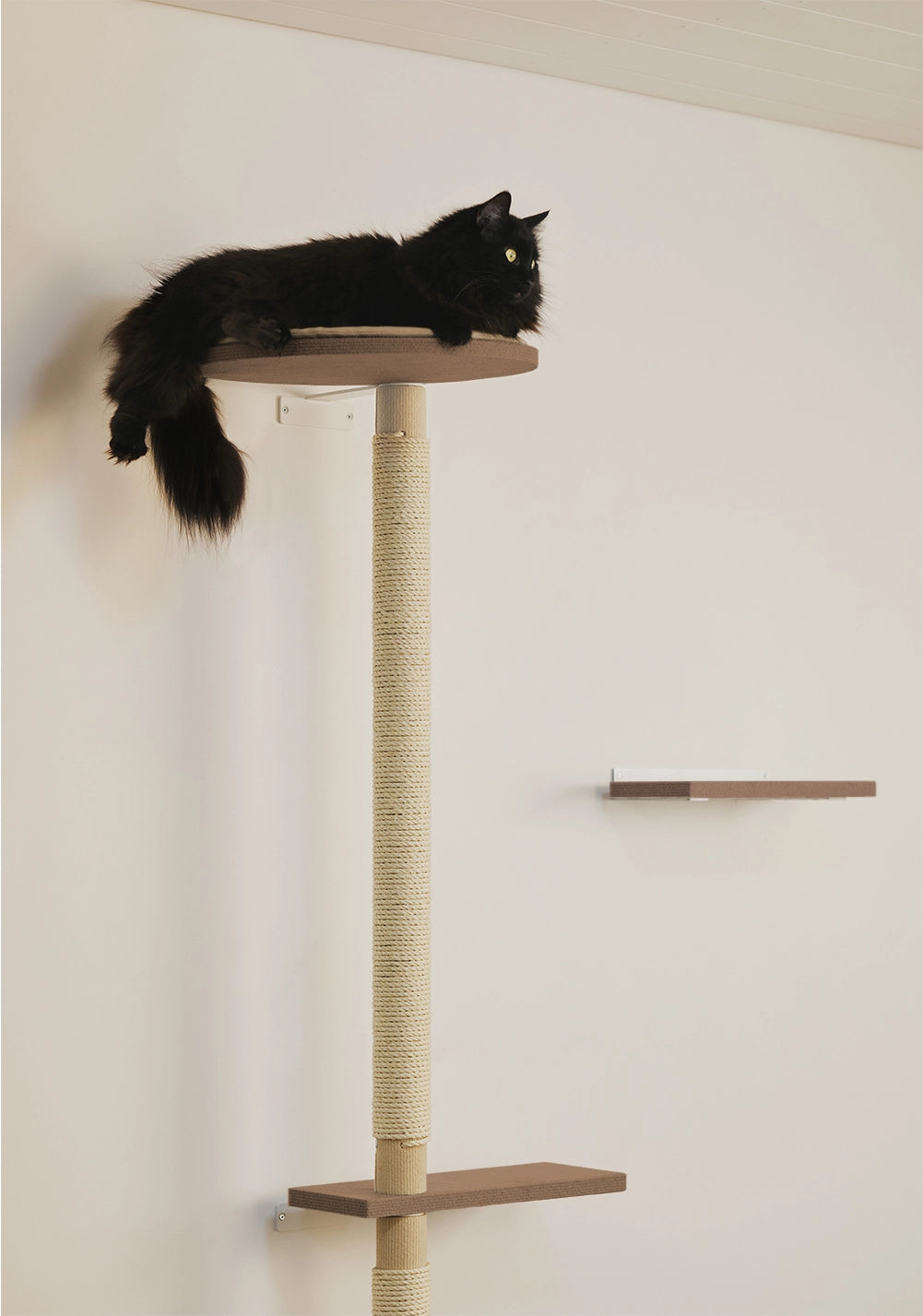 Kissalle paras kiipeilypuu verkkokaupasta