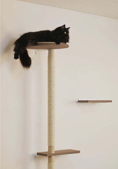 Kissalle paras kiipeilypuu verkkokaupasta