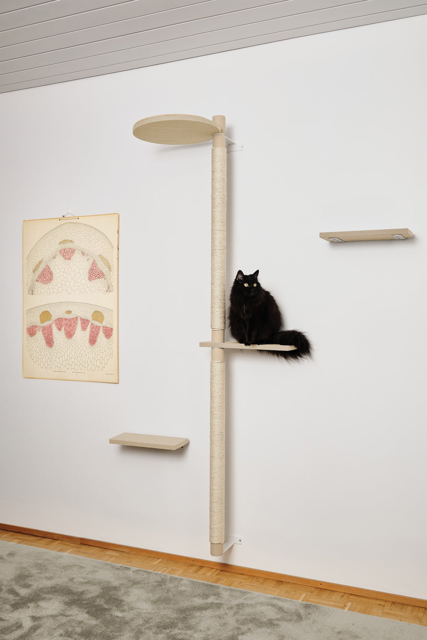 ISO PUU | kokonaisuus A