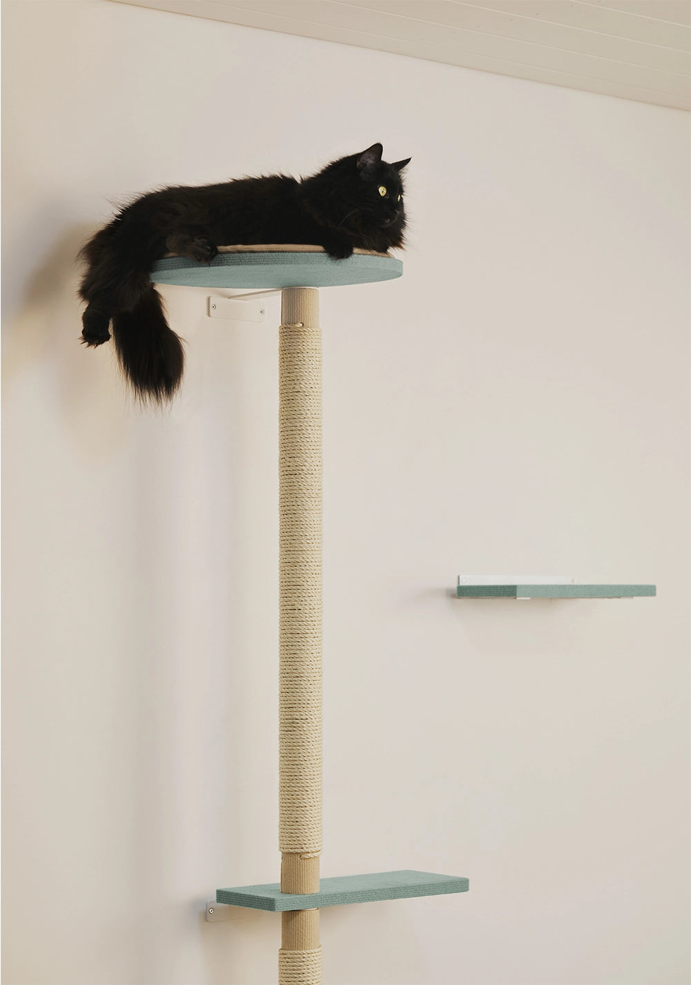 Kiipeilypuu suomalaisesta verkkokaupasta. Kissa pääsee kiipeilemään, venyttelemään ja lepäämään.